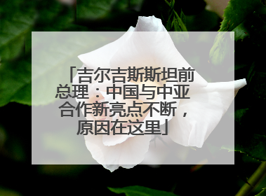 吉尔吉斯斯坦前总理：中国与中亚合作新亮点不断，原因在这里