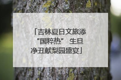 吉林夏日文旅添“国粹热” 生旦净丑献梨园盛宴