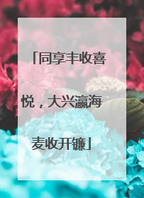 同享丰收喜悦，大兴瀛海麦收开镰