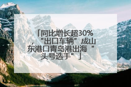 同比增长超30%，“出口车辆”成山东港口青岛港出海“头号选手”