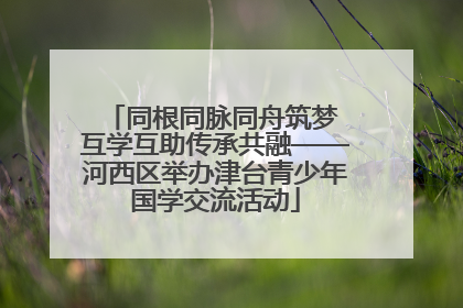 同根同脉同舟筑梦 互学互助传承共融——河西区举办津台青少年国学交流活动