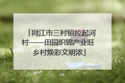 同江市三村镇拉起河村——田园织锦产业旺 乡村焕彩文明浓