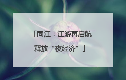 同江：江游再启航 释放“夜经济”