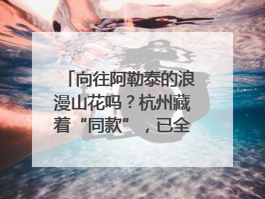 向往阿勒泰的浪漫山花吗？杭州藏着“同款”，已全面进入盛花期