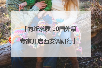 向新求质 10国外籍专家开启西安调研行