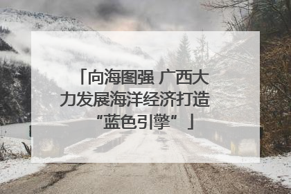 向海图强 广西大力发展海洋经济打造“蓝色引擎”