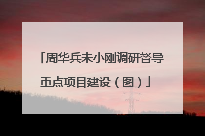 周华兵未小刚调研督导重点项目建设（图）