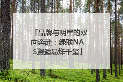 品牌与明星的双向奔赴：绿联NAS邂逅易烊千玺