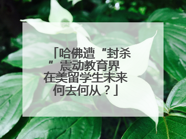 哈佛遭“封杀”震动教育界 在美留学生未来何去何从？