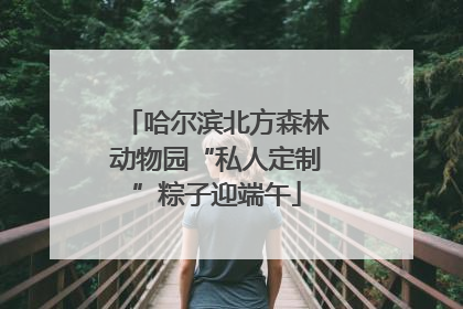 哈尔滨北方森林动物园“私人定制”粽子迎端午