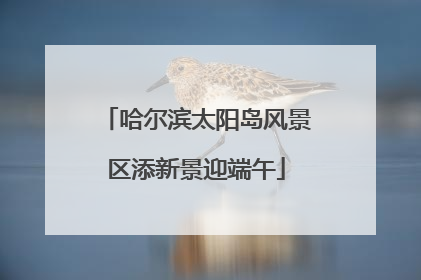 哈尔滨太阳岛风景区添新景迎端午