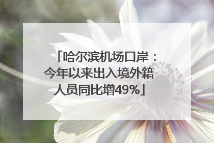 哈尔滨机场口岸：今年以来出入境外籍人员同比增49%