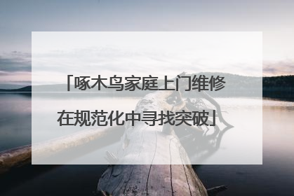 啄木鸟家庭上门维修在规范化中寻找突破