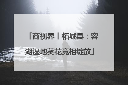 商视界丨柘城县：容湖湿地葵花竞相绽放