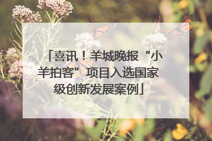 喜讯！羊城晚报“小羊拍客”项目入选国家级创新发展案例