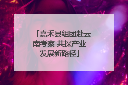 嘉禾县组团赴云南考察 共探产业发展新路径