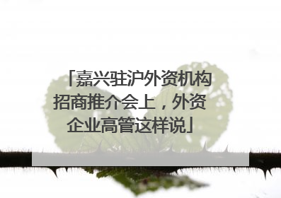 嘉兴驻沪外资机构招商推介会上，外资企业高管这样说