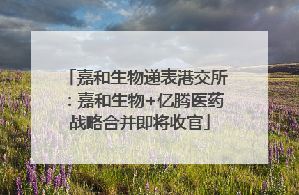 嘉和生物递表港交所：嘉和生物+亿腾医药战略合并即将收官