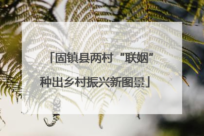 固镇县两村“联姻”种出乡村振兴新图景
