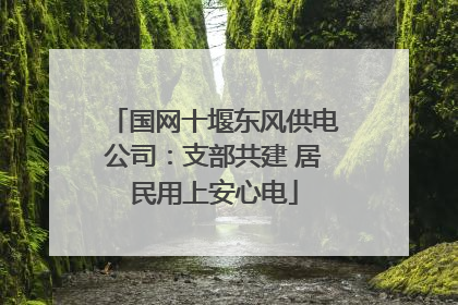 国网十堰东风供电公司：支部共建 居民用上安心电