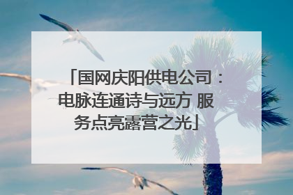 国网庆阳供电公司：电脉连通诗与远方 服务点亮露营之光