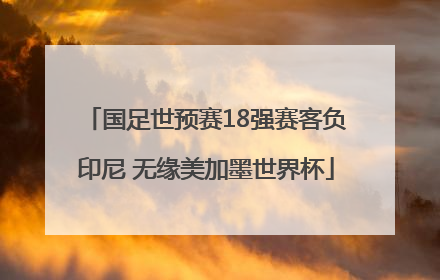 国足世预赛18强赛客负印尼 无缘美加墨世界杯
