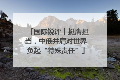 国际锐评丨挺膺担当，中俄并肩对世界负起“特殊责任”