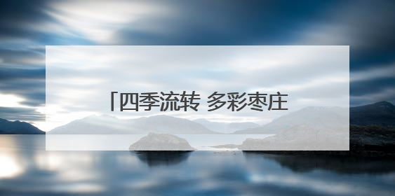 四季流转 多彩枣庄｜滕州市龙阳镇：“龙湖月色”向日葵花海 绘就乡村振兴新画卷