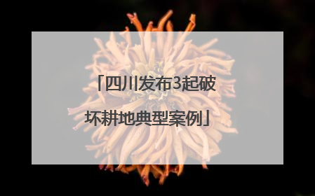 四川发布3起破坏耕地典型案例