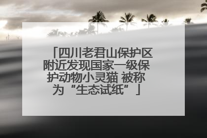 四川老君山保护区附近发现国家一级保护动物小灵猫 被称为“生态试纸”