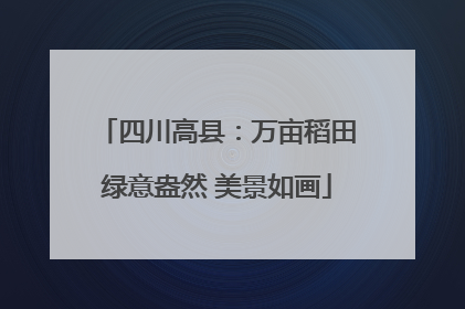 四川高县：万亩稻田绿意盎然 美景如画
