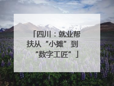 四川：就业帮扶从“小摊”到“数字工匠”