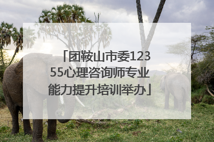 团鞍山市委12355心理咨询师专业能力提升培训举办