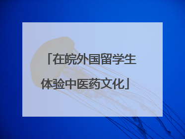 在皖外国留学生体验中医药文化