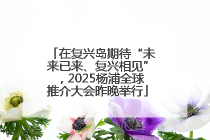 在复兴岛期待“未来已来、复兴相见”，2025杨浦全球推介大会昨晚举行