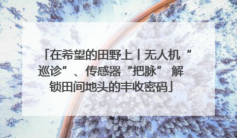 在希望的田野上丨无人机“巡诊”、传感器“把脉” 解锁田间地头的丰收密码