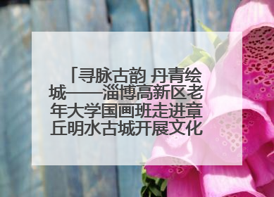 寻脉古韵 丹青绘城——淄博高新区老年大学国画班走进章丘明水古城开展文化研学活动