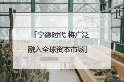 宁德时代 将广泛融入全球资本市场