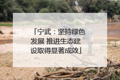 宁武：坚持绿色发展 推进生态建设取得显著成效