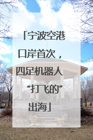宁波空港口岸首次，四足机器人“打飞的”出海