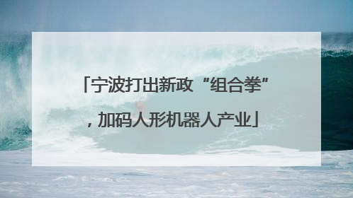 宁波打出新政“组合拳”，加码人形机器人产业