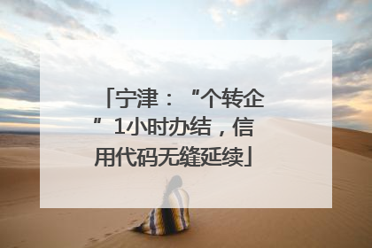 宁津：“个转企”1小时办结，信用代码无缝延续