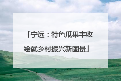 宁远：特色瓜果丰收绘就乡村振兴新图景