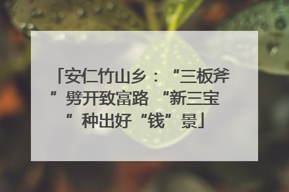 安仁竹山乡：“三板斧”劈开致富路 “新三宝”种出好“钱”景