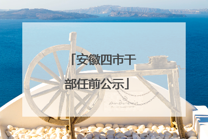 安徽四市干部任前公示