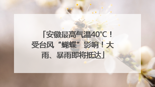 安徽最高气温40℃！受台风“蝴蝶”影响！大雨、暴雨即将抵达