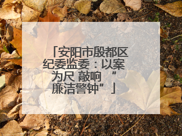 安阳市殷都区纪委监委：以案为尺 敲响 “廉洁警钟”