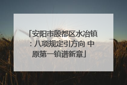安阳市殷都区水冶镇：八项规定引方向 中原第一镇谱新章