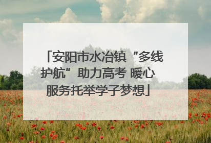 安阳市水冶镇“多线护航”助力高考 暖心服务托举学子梦想