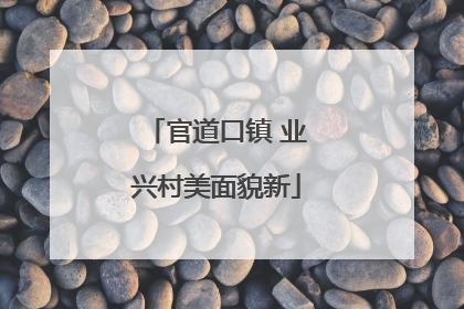 官道口镇 业兴村美面貌新
